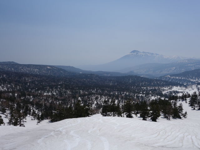 �V�C���ǂ���΁A���R�������܂�_������