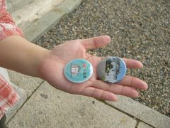 񂳂̍wdv mtEւ̓eʐ^1