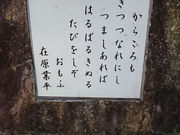 tyrelli̗c̈ꏼ̓eʐ^1