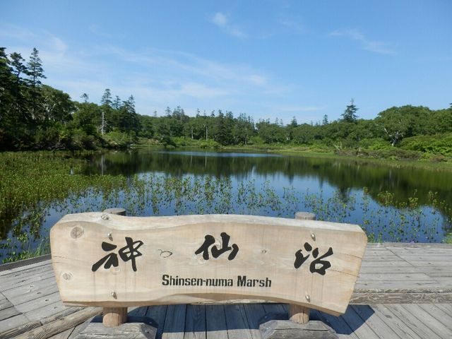 ݂˂̃jZRRn̏̓eʐ^1