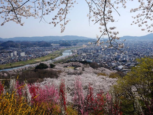 �隬��������̒��]_�D���隬����