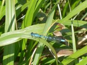 ݂˂̃jZRRn̏̓eʐ^3