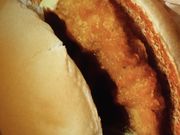 }J̃}NhihVwOX̓eʐ^1