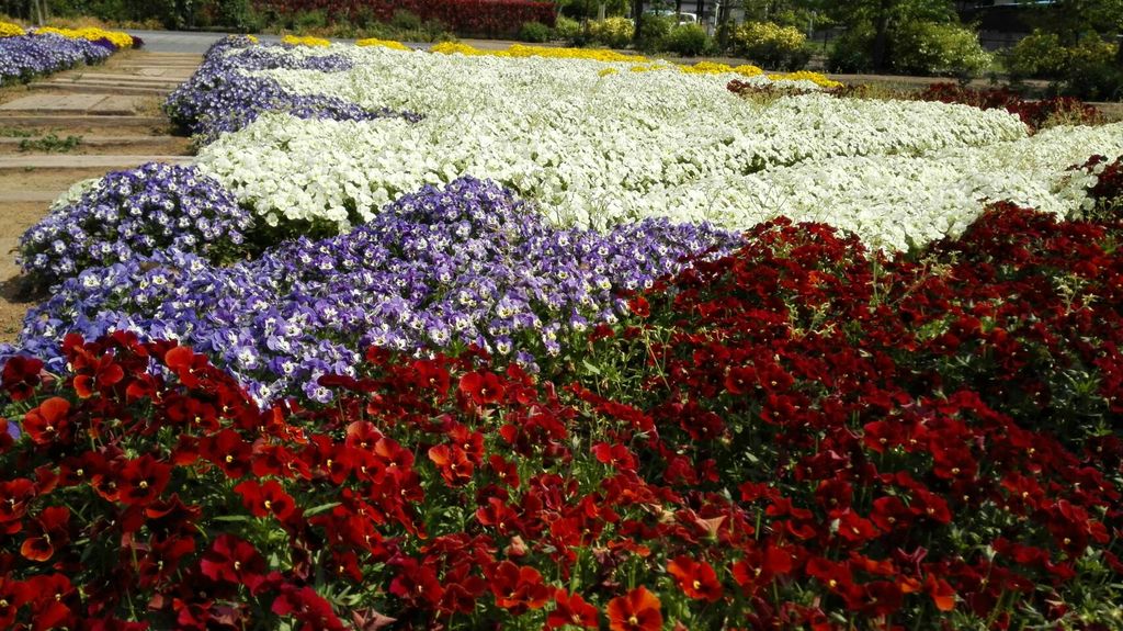 鴻巣駅周辺の歴史的建造物ランキングtop3 じゃらんnet