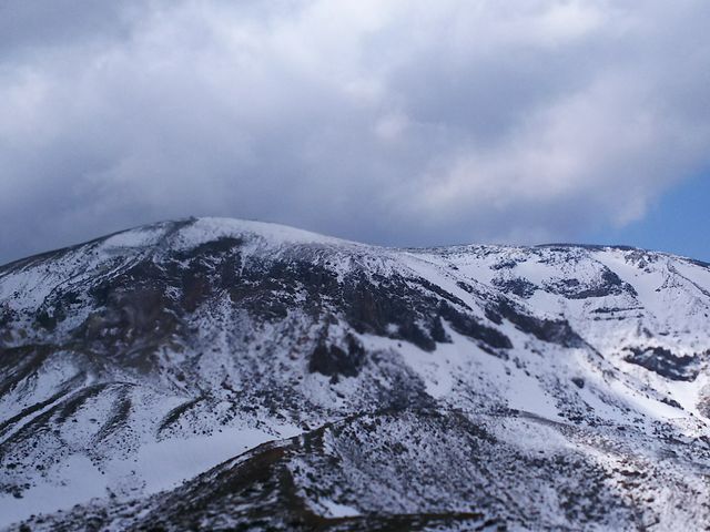 �r�W�^�[�Z���^�[���_��y���r�W�^�[�Z���^�[