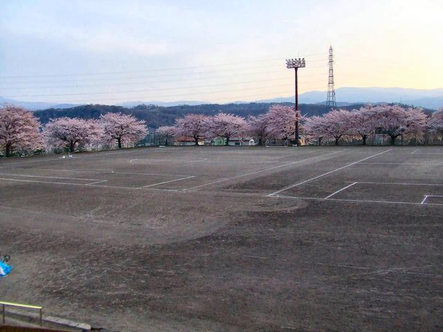 �����炭�O���E���h_���䒆�������O���E���h