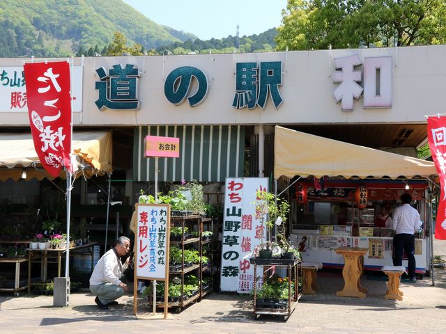 �R�쑐������_���̉w �a