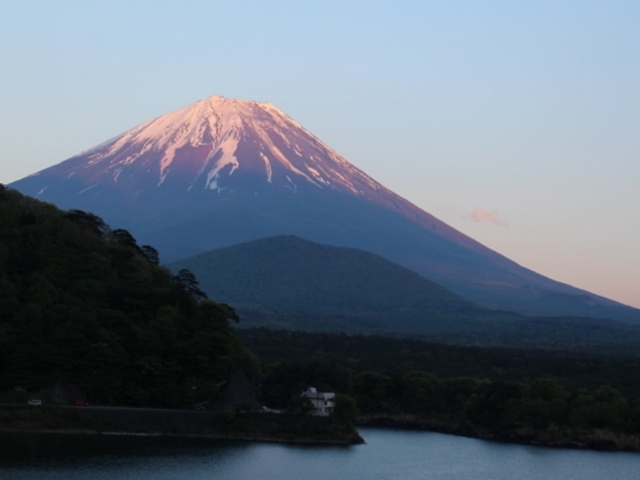 xmR[ɉf܂Bۂ̒߂͎ʐ^łȂۂɓŊ\̂̓łB_i