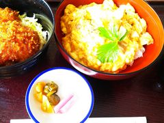 [̏yXgnEX@TyȂւ̓eʐ^1