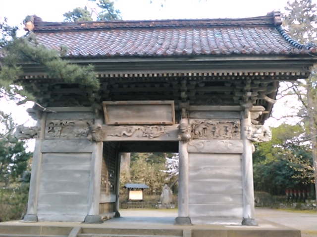 ����ɑς��������Ǝv����R��B_�s����