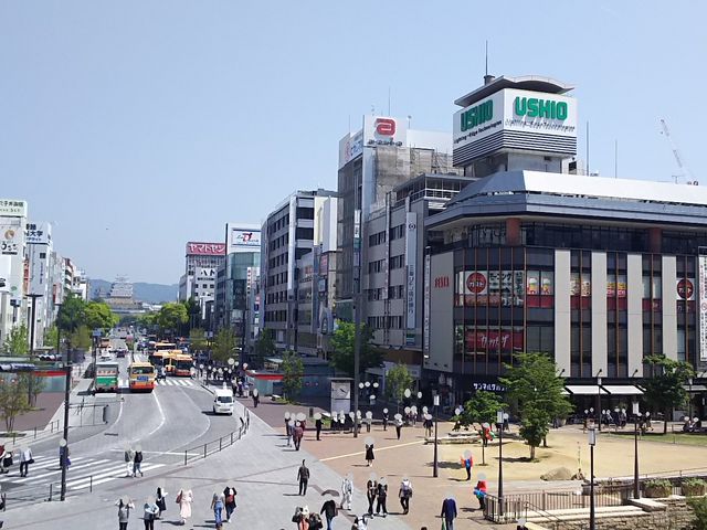 ܂[񂳂̑Oʂ蓌̓eʐ^1