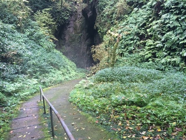 ���������_������