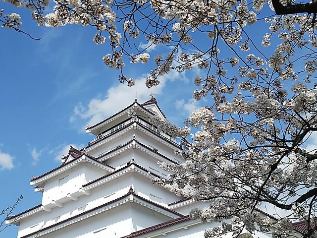 �V��ƍ�_�߃�������̍�