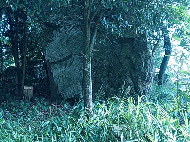 Ԃ񂽂̗i򕌌xj̓eʐ^1