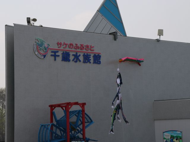 ��ΐ�����_�T�P�̂ӂ邳�Ɛ�ΐ�����