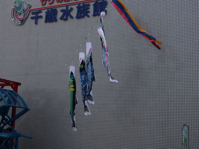 ���̂ڂ�_�T�P�̂ӂ邳�Ɛ�ΐ�����