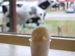 ���E102����̂ւ̓��e�ʐ^3