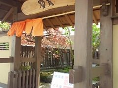 oVXN̒Ìŷ Ah Ƃւ̓eʐ^1