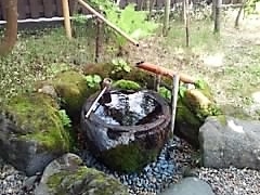 oVXN̒Ìŷ Ah Ƃւ̓eʐ^2