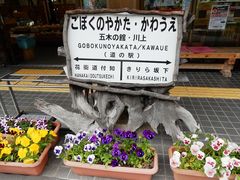 w-masaさんの道の駅 五木のやかた・かわうえの投稿写真1