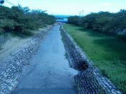 Ԃ񂽂̉HJ񂾂̓eʐ^1