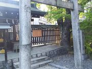 ܂[񂳂̏ڗ_Ђ̓eʐ^1