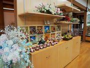 񂳂̋VN~[WA̓eʐ^1