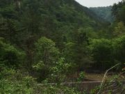 Wj[̐ΐ쌧zRفE}C[h̓eʐ^1