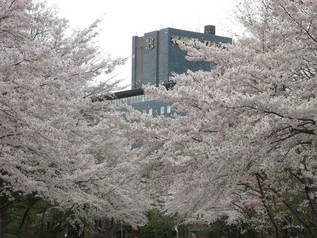 ��1�i2018/5/2�j_��������