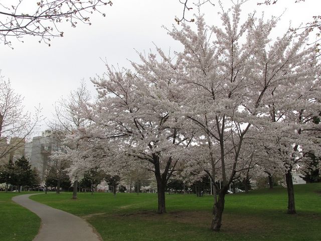 ��2�i2018/5/2�j_��������