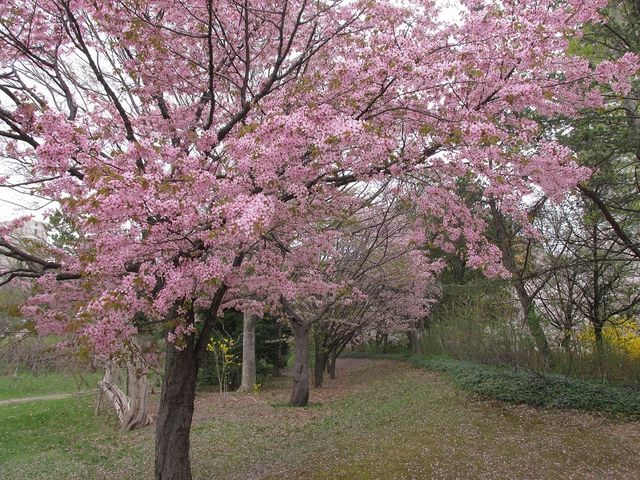 ��3�i2018/5/2�j_��������