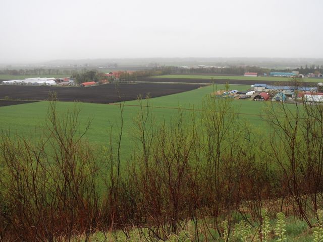 �c���n�т������낷_�����p�m���}�p�[�N