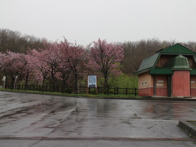 ���J�̍�_�����p�m���}�p�[�N