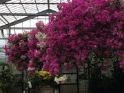 AW̃^^ĹiLj[gsAt@[{Ó̓eʐ^2