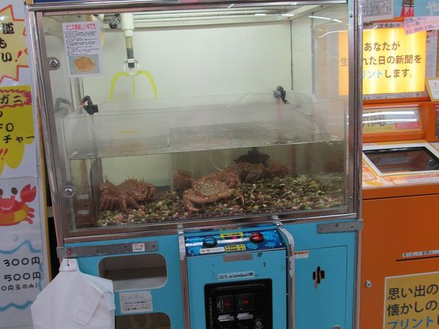 UFO�L���b�`���[_���H�t�B�b�V���[�}���Y���[�tMOO�EEGG