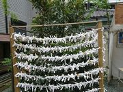 ܁[񂳂̐zF_Ђ̓eʐ^2