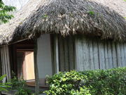 snowwhite̐F擐Ղ̓eʐ^1