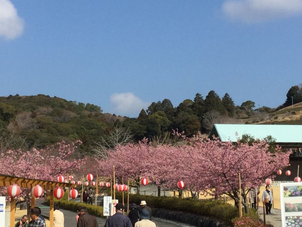 あらさわふる里公園 【静岡県】