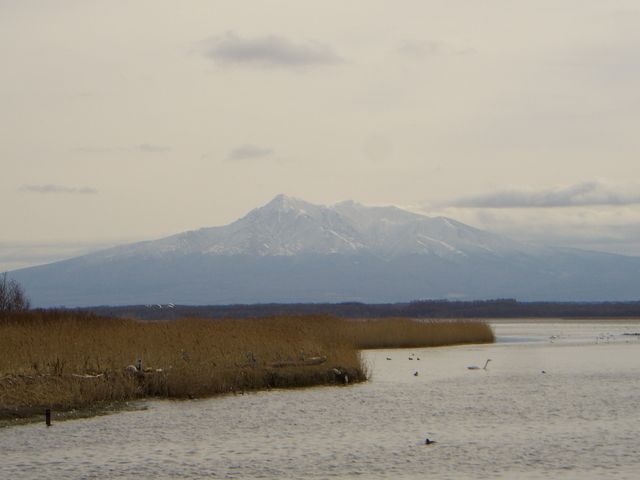 �Η��x�͂����^����_������