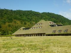 Ƃ݁[̃R[i ߍ]ւ̓eʐ^1