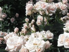 AX̌PuVՒnEcΒñoւ̓eʐ^1