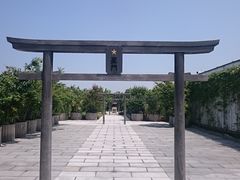 ���񂿂�񂳂�̓S���_�Ђւ̓��e�ʐ^1