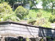 ڂ炳̕sj֎ق̓eʐ^6