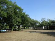 Todays̔RdjՌ̓eʐ^3