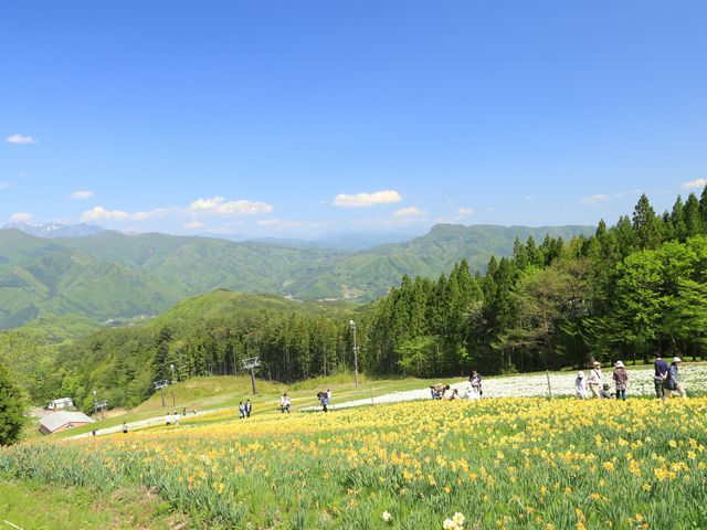 tgōs钸ォ́A̉ɍL邷񔨂~낷ł܂B_m݂Ȃ