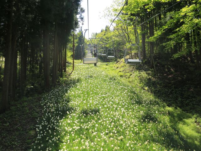 tgɏ΂񔨂̏󒆎UB͂〈߂Ă܂c_m݂Ȃ