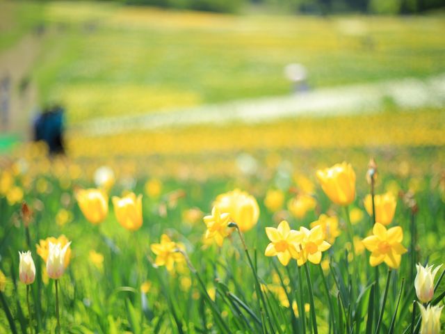 }̉ԁBsȂςVC̗ǂIXXłB_m݂Ȃ