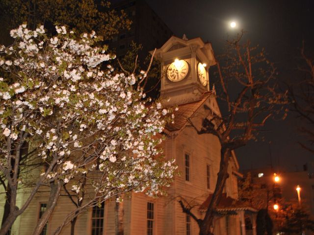 ���ƌ��Ǝ��v��_�D�y�s���v��