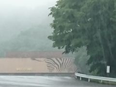 駐車場で行われた車のイベントに参加で 中は見に行っていない 姫路セントラルパークの口コミ じゃらんnet