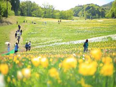 ノルンみなかみフラワーガーデンの写真一覧 じゃらんnet